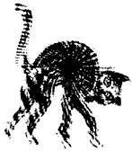 Не только депрессия: охота за настроением - i_043.jpg