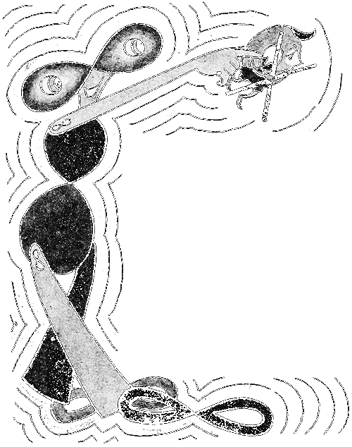 Три дня в Карликании - i_014.png