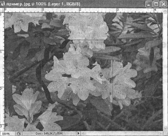 Photoshop CS2 и цифровая фотография (Самоучитель). Главы 10-14 - ris_10_11.jpg