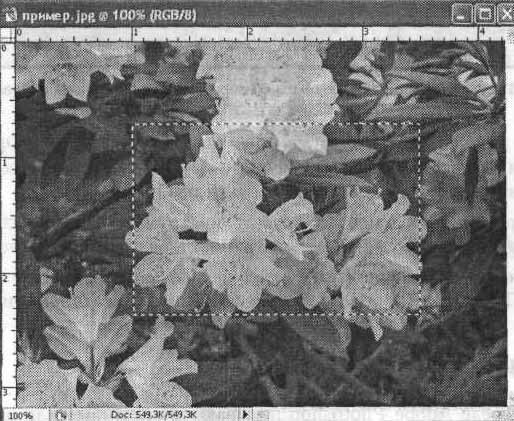 Photoshop CS2 и цифровая фотография (Самоучитель). Главы 10-14 - ris_10_12.jpg