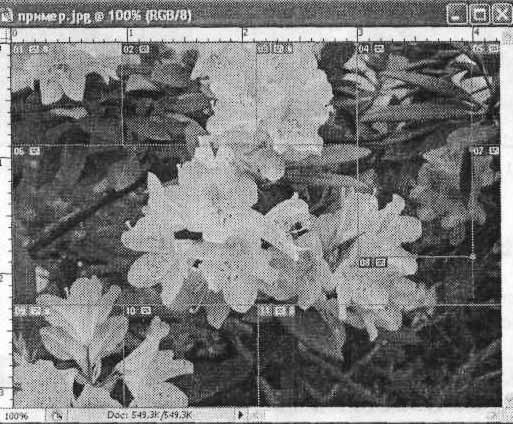 Photoshop CS2 и цифровая фотография (Самоучитель). Главы 10-14 - ris_10_13.jpg