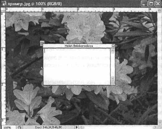 Photoshop CS2 и цифровая фотография (Самоучитель). Главы 10-14 - ris_10_14.jpg
