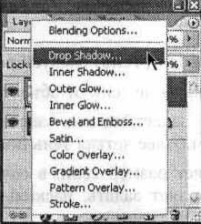 Photoshop CS2 и цифровая фотография (Самоучитель). Главы 10-14 - ris_11_13.jpg