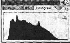 Photoshop CS2 и цифровая фотография (Самоучитель). Главы 10-14 - _141.jpg