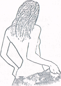 Огненная тигрица - doc2fb_image_03000001.png