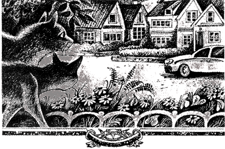 Судьба Небесного племени. Решение - i_004.png