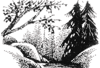 Судьба Небесного племени. Решение - i_007.png