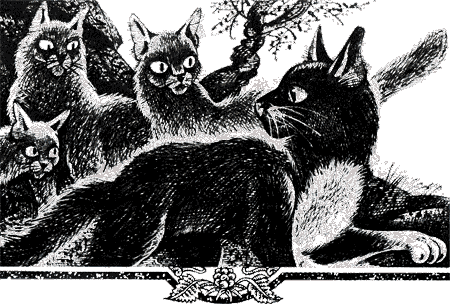 Судьба Небесного племени. Решение - i_026.png