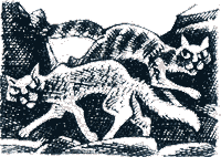 Судьба Небесного племени. Решение - i_027.png