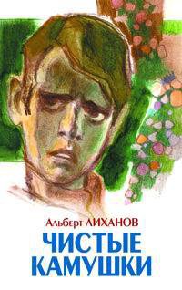 Книга Чистые камушки