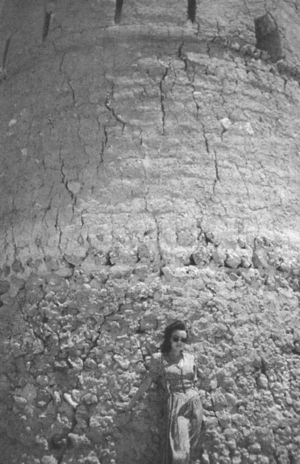 Душа как скрипка. Биография, стихи, воспоминания - i_080.jpg