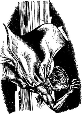 Стархэвен (сборник фантастических романов) - image010.jpg