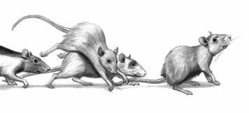 Дневник профессора Гаргульи - _4.jpg