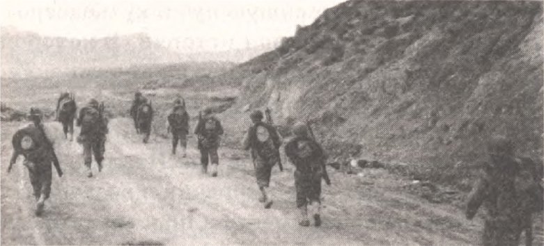 АнтиМЕДИНСКИЙ. Псевдоистория Второй Мировой. Новые мифы Кремля - ris_06.jpg