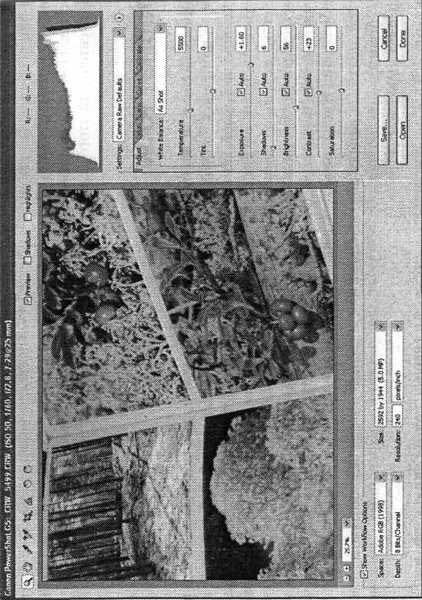 Photoshop CS2 и цифровая фотография (Самоучитель). Главы 1-9 - ris_4_4.jpg