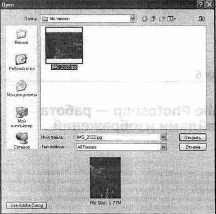Photoshop CS2 и цифровая фотография (Самоучитель). Главы 1-9 - ris_6_1.jpg