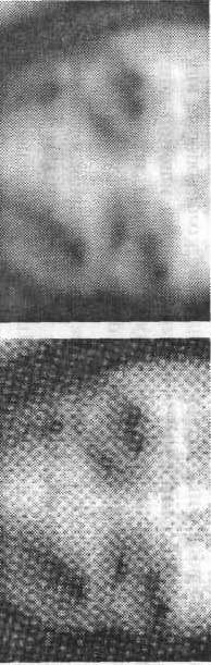 Photoshop CS2 и цифровая фотография (Самоучитель). Главы 1-9 - ris_7_5.jpg