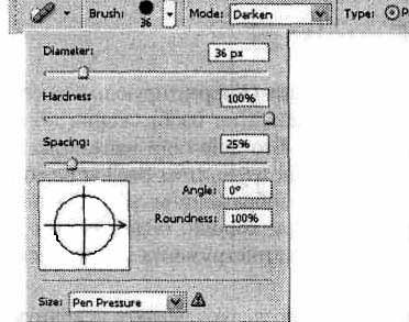 Photoshop CS2 и цифровая фотография (Самоучитель). Главы 1-9 - ris_8_15.jpg