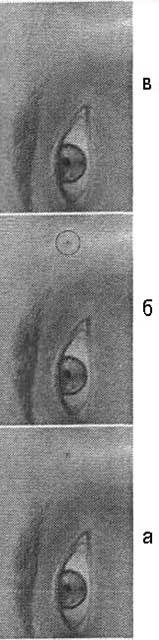 Photoshop CS2 и цифровая фотография (Самоучитель). Главы 1-9 - ris_8_16.jpg