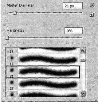 Photoshop CS2 и цифровая фотография (Самоучитель). Главы 1-9 - ris_8_5.jpg