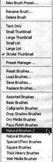 Photoshop CS2 и цифровая фотография (Самоучитель). Главы 1-9 - ris_8_6.jpg