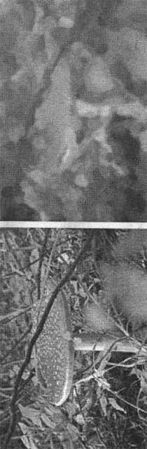 Photoshop CS2 и цифровая фотография (Самоучитель). Главы 1-9 - ris_8_21.jpg