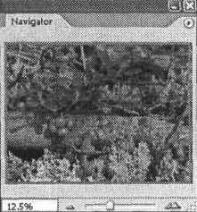 Photoshop CS2 и цифровая фотография (Самоучитель). Главы 1-9 - ris_9_22.jpg