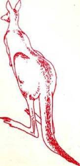 Мир животных Том 1 - i_026.jpg