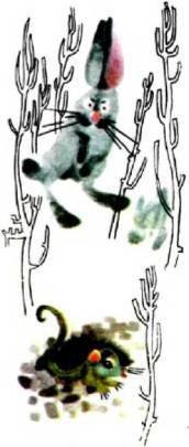 Мир животных Том 1 - i_041.jpg