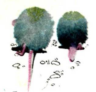 Мир животных Том 1 - i_081.jpg