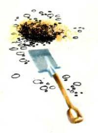 Мир животных Том 1 - i_082.jpg