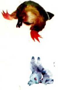 Мир животных Том 1 - i_087.jpg