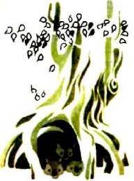 Мир животных Том 1 - i_098.jpg