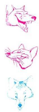 Мир животных Том 1 - i_103.jpg