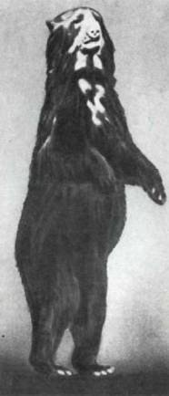 Мир животных Том 1 - i_149.jpg