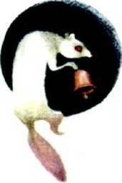 Мир животных Том 1 - i_170.jpg