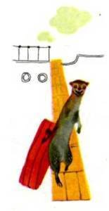 Мир животных Том 1 - i_205.jpg