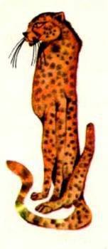 Мир животных Том 1 - i_220.jpg