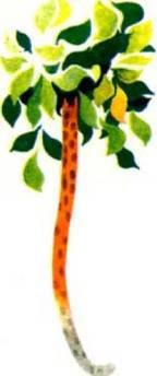 Мир животных Том 1 - i_226.jpg