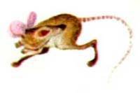 Мир животных Том 1 - i_227.jpg