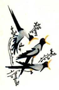 Мир животных Том 1 - i_290.jpg