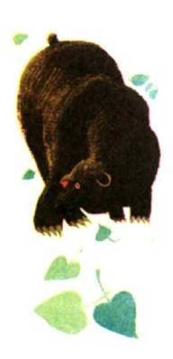 Мир животных Том 1 - i_293.jpg