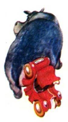 Мир животных Том 1 - i_304.jpg