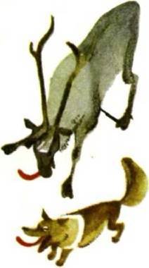 Мир животных Том 1 - i_332.jpg