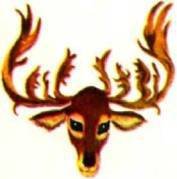 Мир животных Том 1 - i_343.jpg