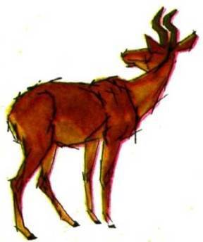 Мир животных Том 1 - i_373.jpg