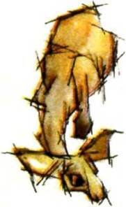 Мир животных Том 1 - i_387.jpg