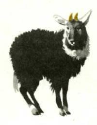 Мир животных Том 1 - i_400.jpg