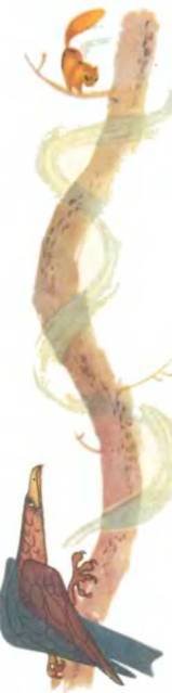 Рукокрылые, приматы, неполнозубые, панголины, зайцеобразные, грызуны, китообразные, ластоногие, трубкозубые, даманы, сирены и хоботные - i_089.jpg