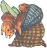 Рукокрылые, приматы, неполнозубые, панголины, зайцеобразные, грызуны, китообразные, ластоногие, трубкозубые, даманы, сирены и хоботные - i_103.jpg